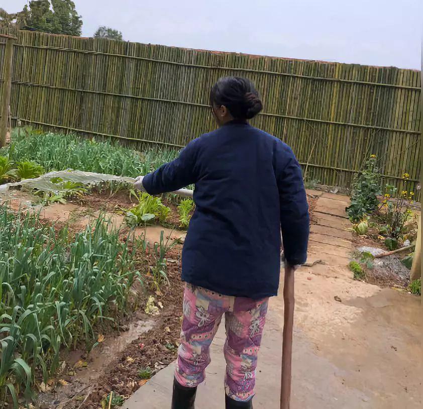 她凭“中华之美”圈粉海外，却被国内网民骂成筛子