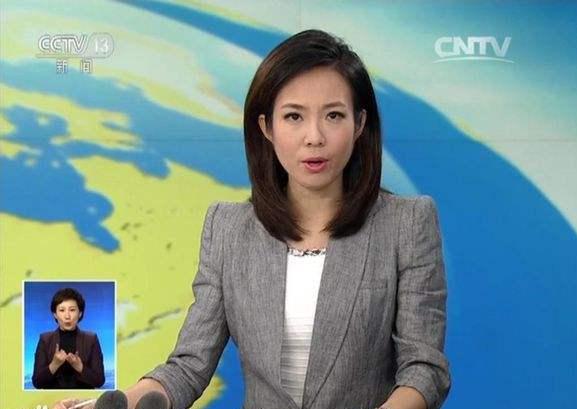 新闻联播新主播欧阳夏丹的资料,新闻1+1白岩松欧阳夏丹