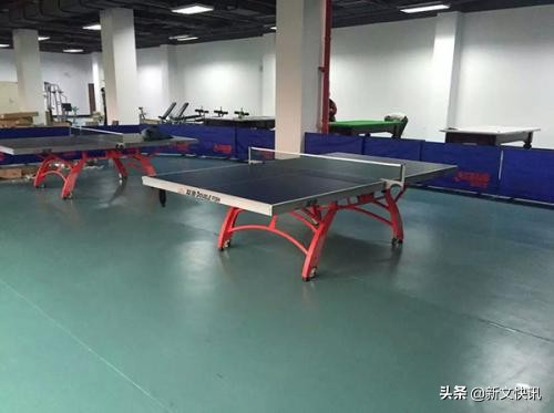 成都世警会赛事时间,2019年成都世警会