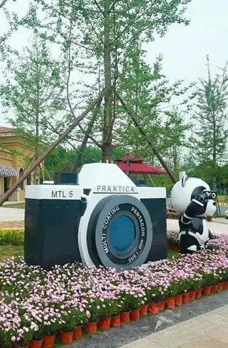 金牛打卡地,金牛区有什么轻松好玩的打卡地