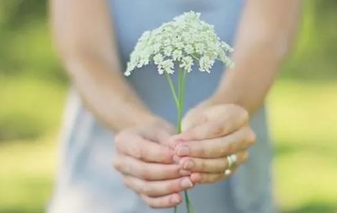 怀孕甲减正常值范围,怀孕甲减的主要症状