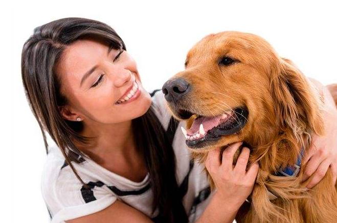 如何判断狗狗是否信任你,做哪几个动作就能让狗狗更信任你