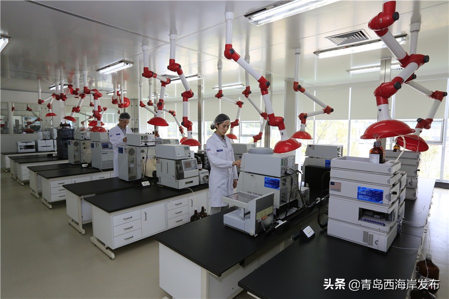 特医产品订单环比增长77%！青岛圣元乳业：细分市场销售实现逆增长