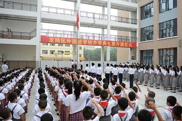 深圳龙岗民办小学排名,东莞凤岗学校排名小学