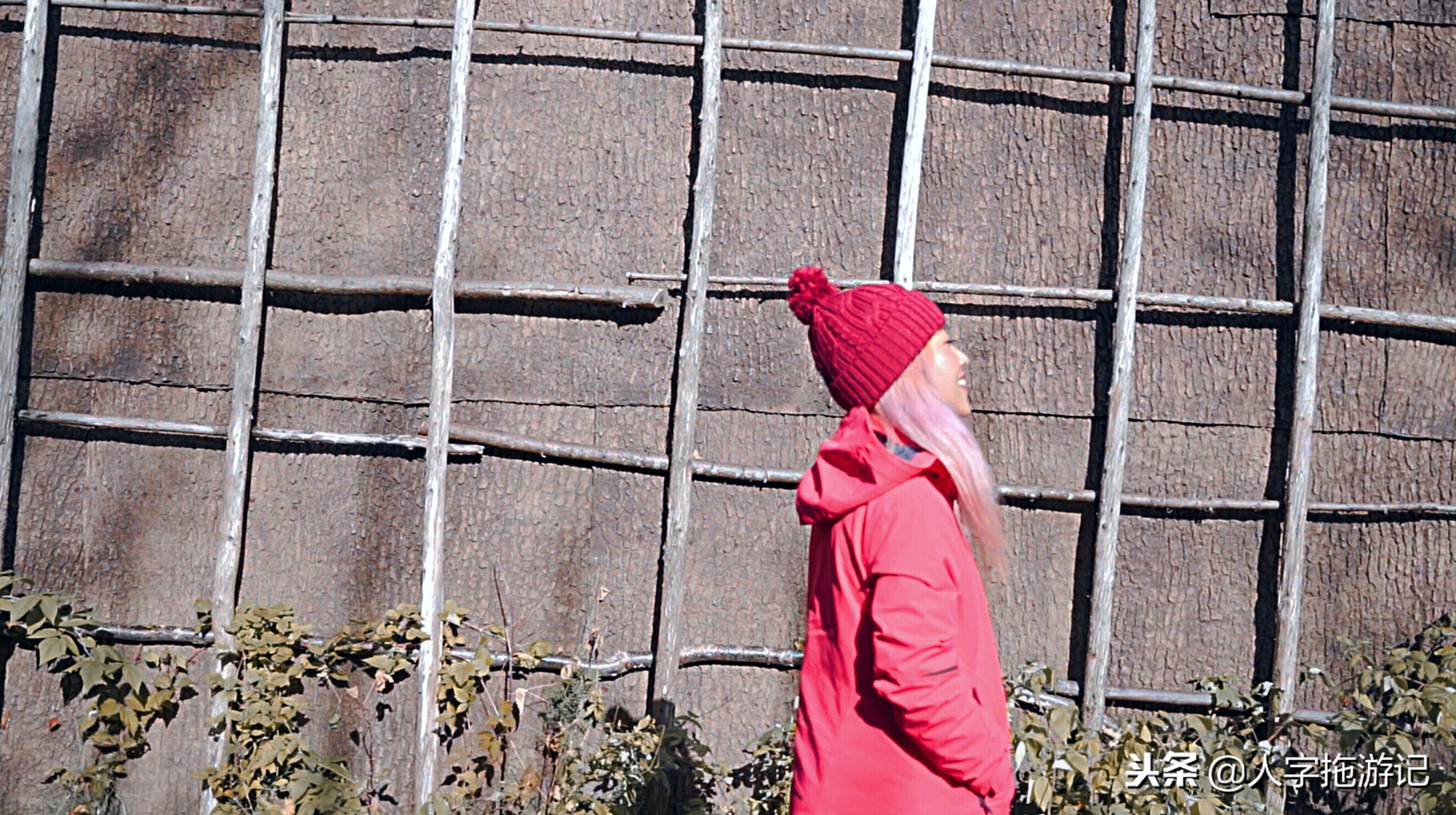 冬日极客，加拿大Wendake穿着狼爪去狼族