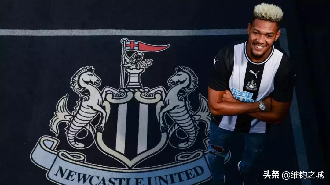 德甲换帅最新名单,德甲沙尔克换帅