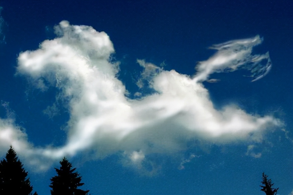 龙马网名含义,龙马霸气网名