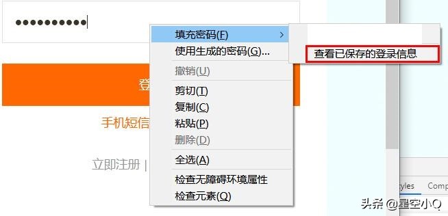 极速浏览器怎么查看保存密码,ie浏览器保存的密码怎么查看