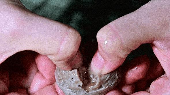 潮汕纯手打纯牛肉丸第一名,潮汕牛肉丸一年发15万条抖音