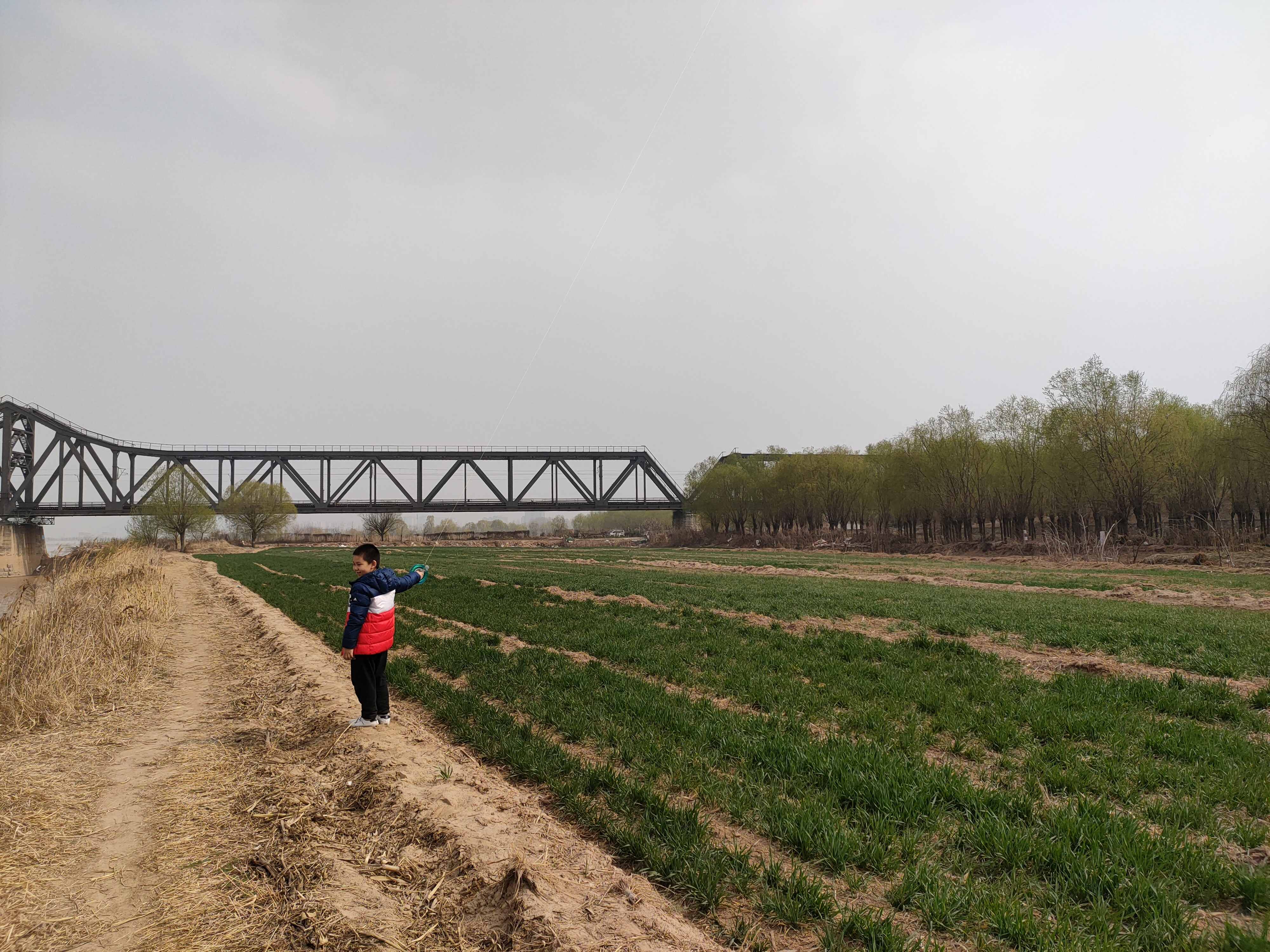 春天吃这几种野菜比吃啥补药都好,春天超嫩野菜做出来的米果香喷喷