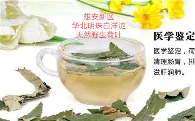 只有好的选择才有好的发展前途,只有选择创业才有可能赚钱