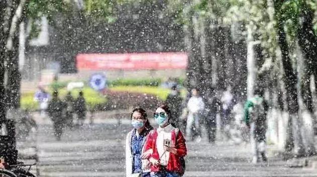 消灭白毛的方法,要怎么应付这一地鸡毛的生活