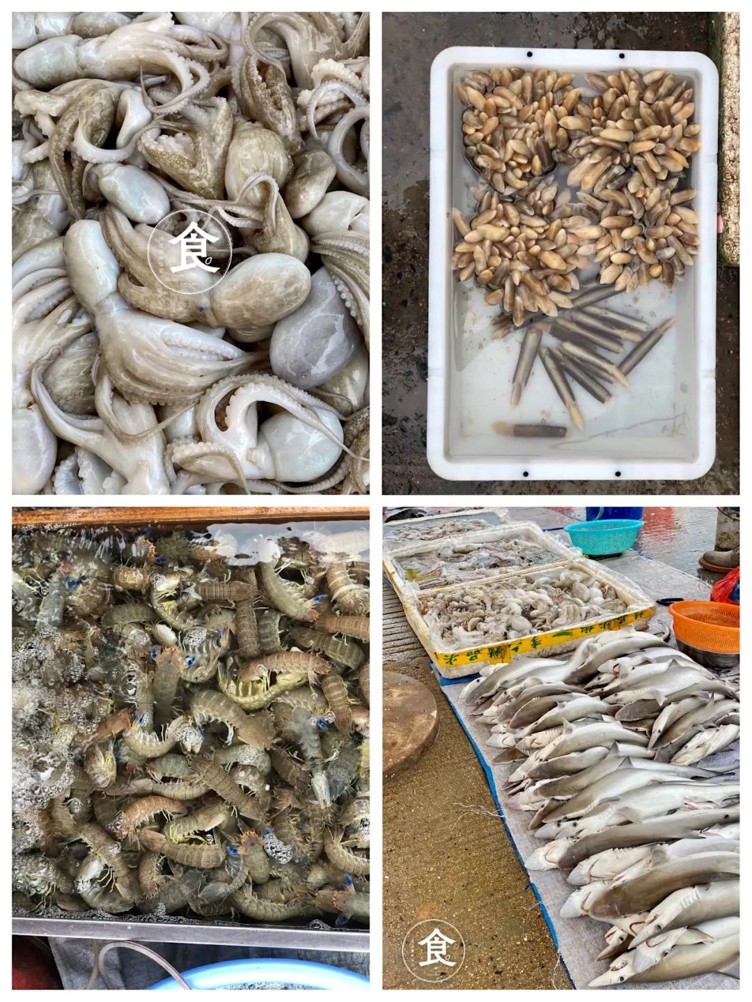 钦州哪里吃海鲜又便宜又好吃,钦州吃海鲜的大排档