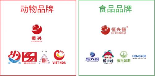 中国恒兴水产品牌,恒兴水产产品