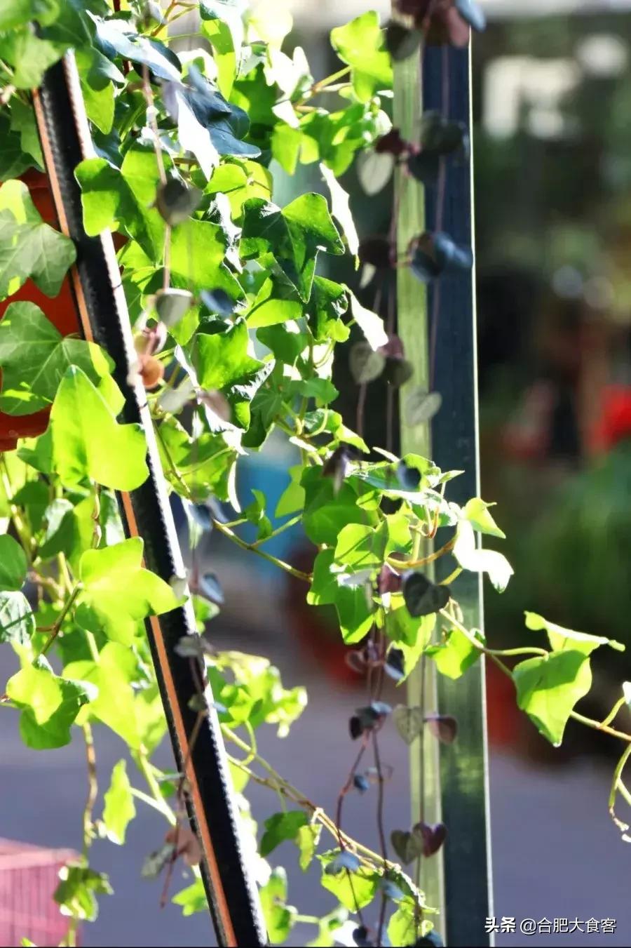 <html>
<head><title>502BadGateway</title></head>
<body>
<center><h1>502BadGateway</h1></center>
<hr><center>nginx</center>
</body>
</html>
<!--apaddingtodisableMSIEandChromefriendlyerrorpage-->
<!--apaddingtodisableMSIEandChromefriendlyerrorpage-->
<!--apaddingtodisableMSIEandChromefriendlyerrorpage-->
<!--apaddingtodisableMSIEandChromefriendlyerrorpage-->
<!--apaddingtodisableMSIEandChromefriendlyerrorpage-->
<!--apaddingtodisableMSIEandChromefriendlyerrorpage-->
