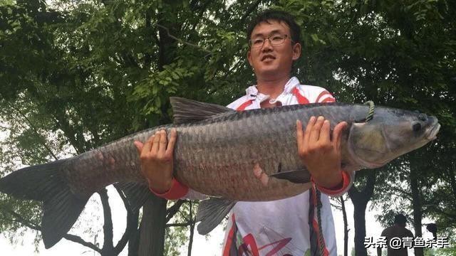 揭秘钓鱼小药的味型,钓鱼小药使用基础知识有哪些内容