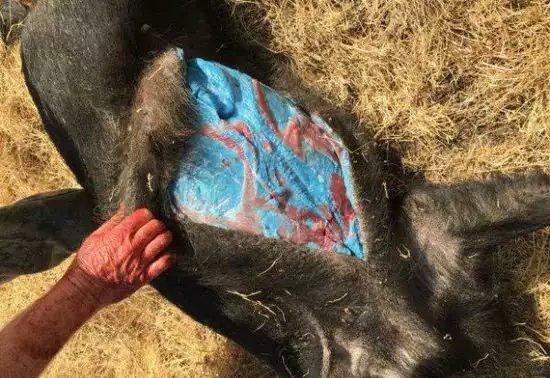 痘痘生长的四个阶段及去除方法,痘痘的防治方法有哪些