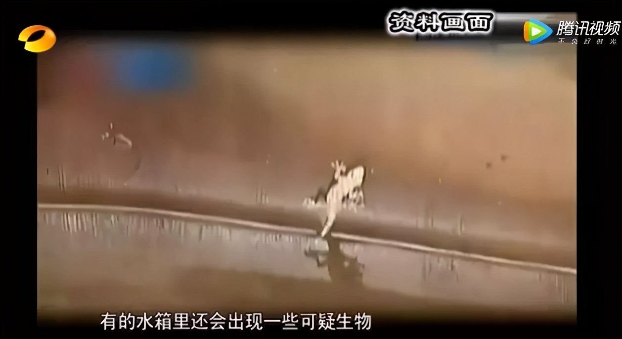 家用净水器真的管用吗？不要被销售忽悠了，不懂千万别瞎跟风