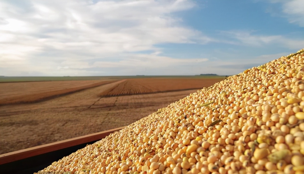 美国人越穷越胖,美国人为什么很穷还那么胖