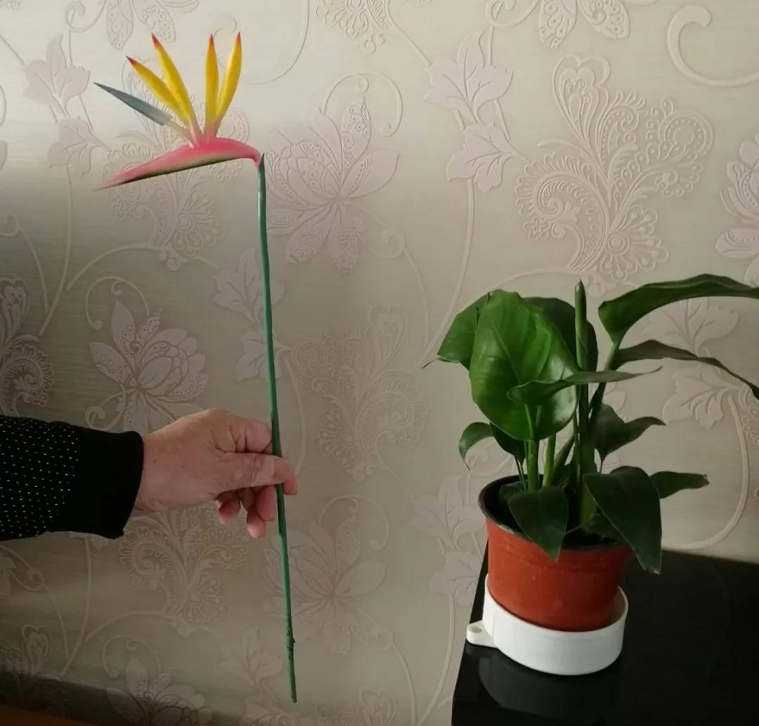 教你如何避开假货买到真品,一张图告诉你怎样分辨假货