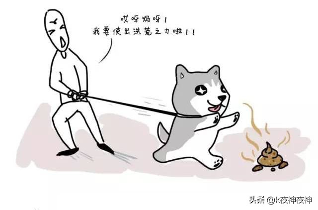 为什么狗吃便便以及如何阻止它们