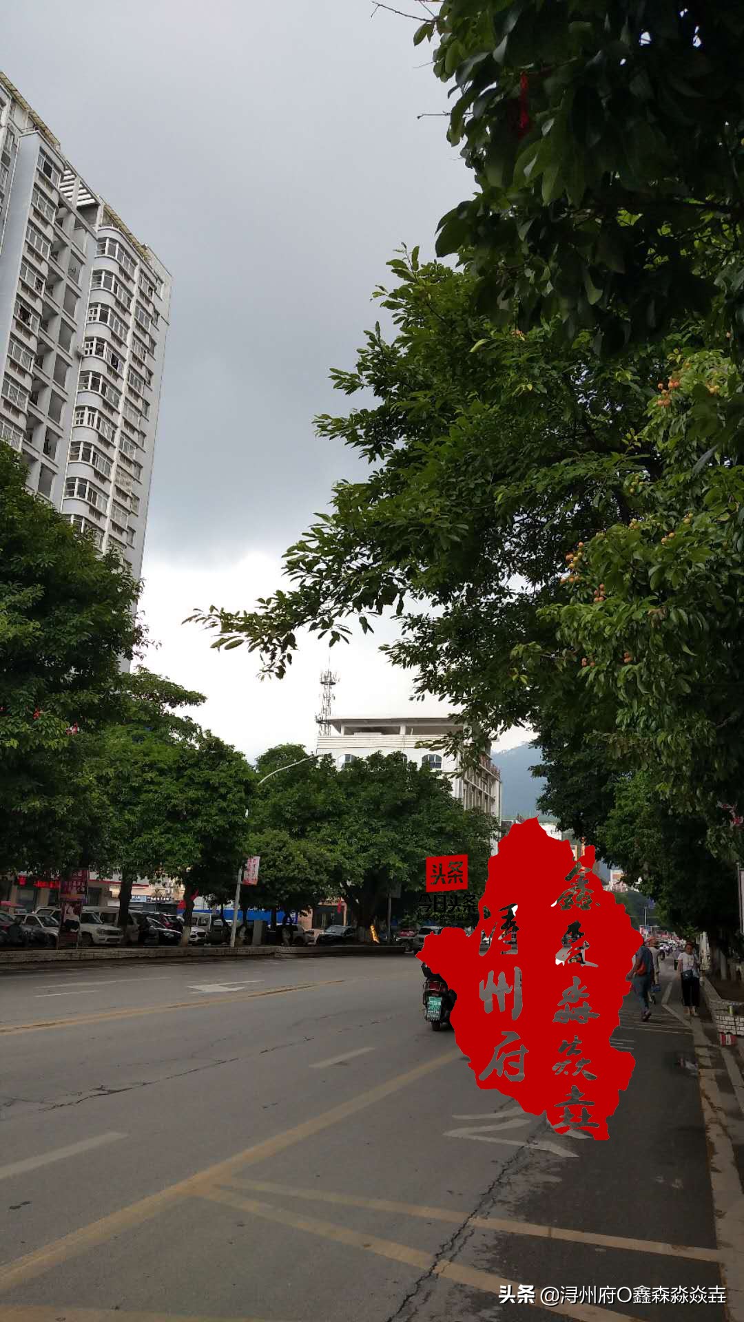 桂平麻垌中国荔枝之乡的石碑,麻垌荔枝之乡在哪里