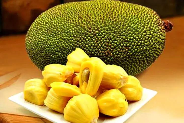 刚在市场买的菠萝蜜是坏的,买的菠萝蜜有点烂怎么办