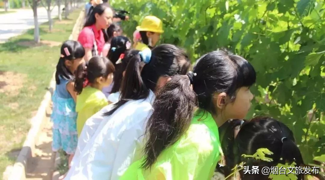 张裕卡斯特酒庄免费参观,烟台张裕卡斯特酒庄攻略