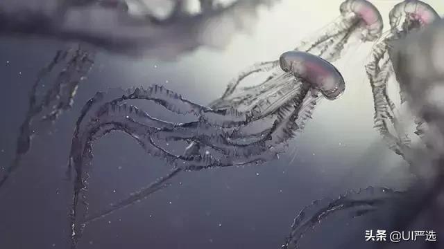 c4d干货建模,c4d全套教程免费电商