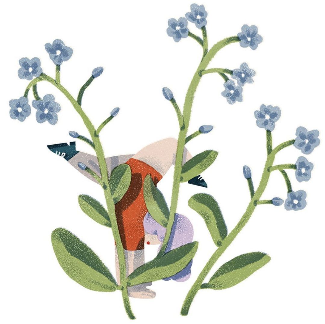 精妙的细节和色彩插画,插画作品想象力是最吸引人的色彩