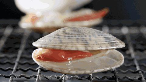 蛤蜊蒸蛋鲜到掉眉毛,蛤蜊蒸蛋的由来