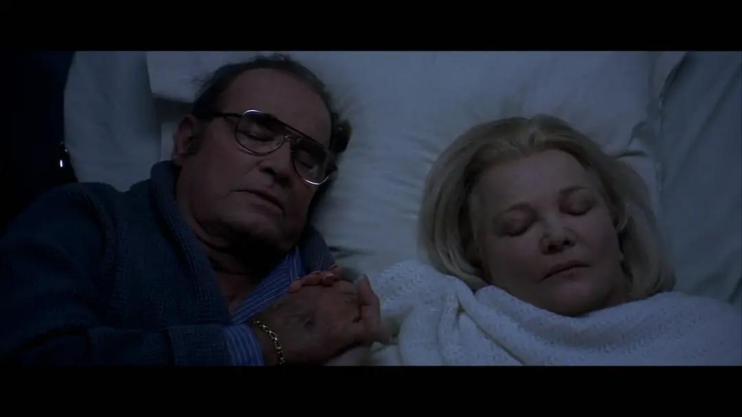 恋恋笔记本经典片段,恋恋笔记本第一章