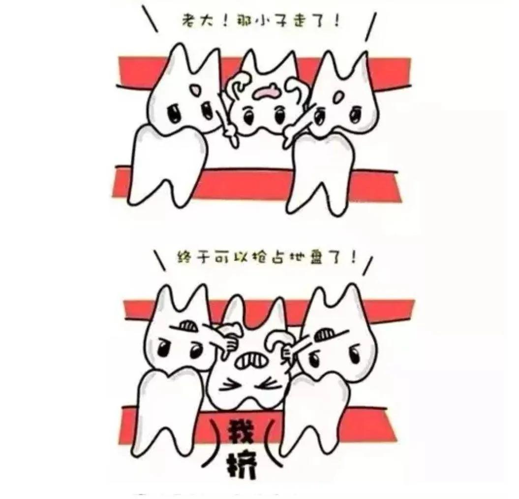 看牙又贵又遭罪,看牙那么贵没人管吗