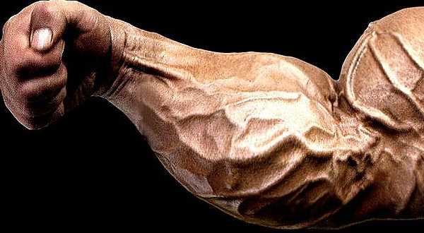 哑铃怎么练出小臂麒麟臂,锻炼大臂肌肉的方法在家就能练