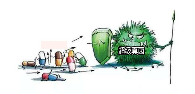 致死率高达50%的病毒,致死率高的病菌