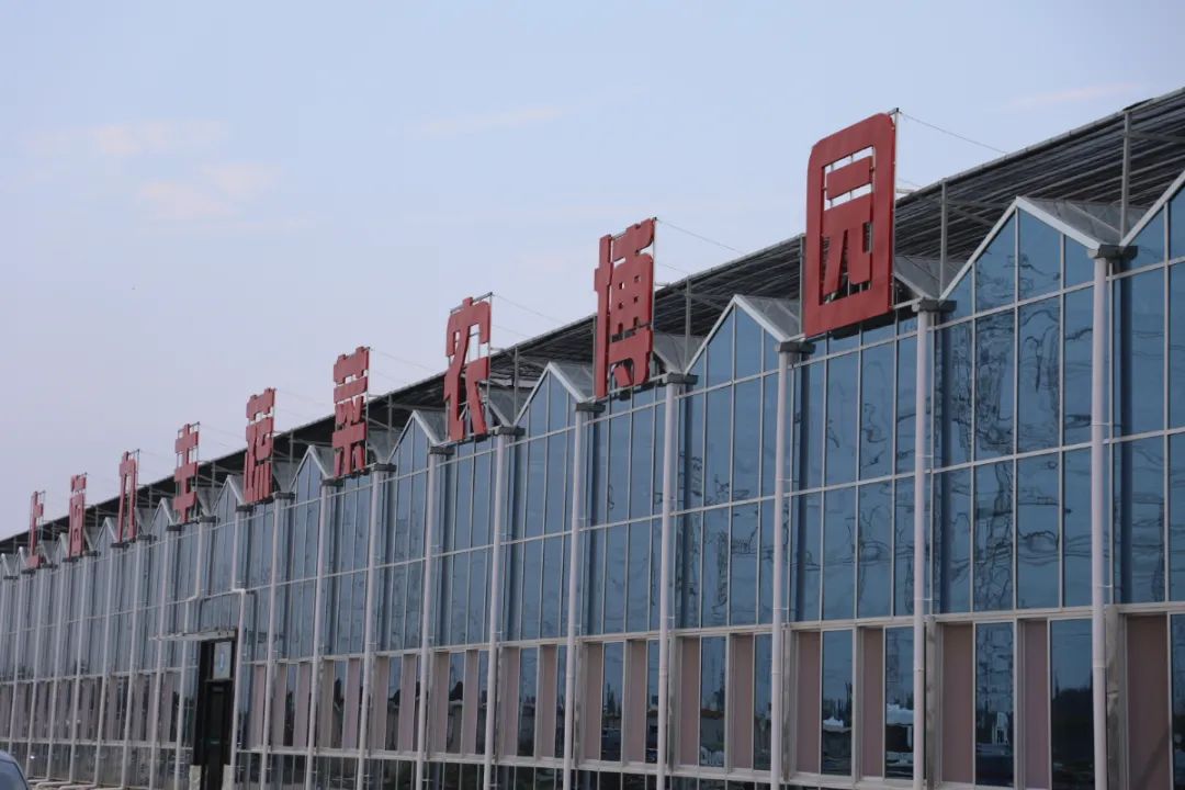 乐高乐园金山区,金山乐高乐园地理位置