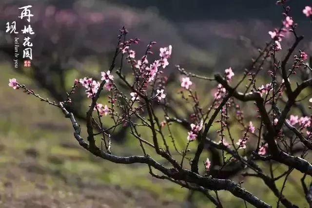 北仑旅游攻略大全集,北仑旅游攻略