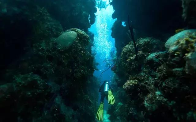 全球惊艳的10个海底世界，看到第一个就想出发！