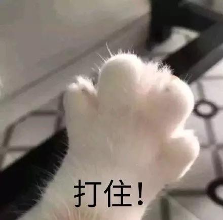 倩碧腮红性价比,倩碧腮红花瓣腮红