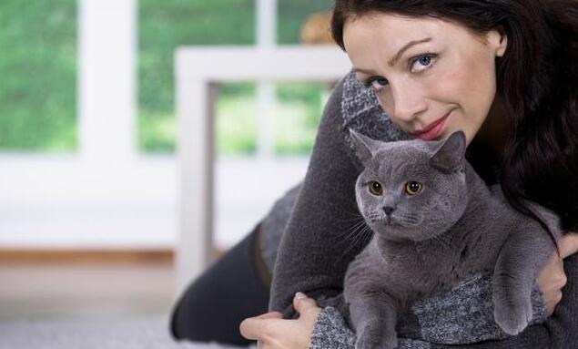 这3种猫很可怕有钱都不建议养,再喜欢也千万别养的4种猫