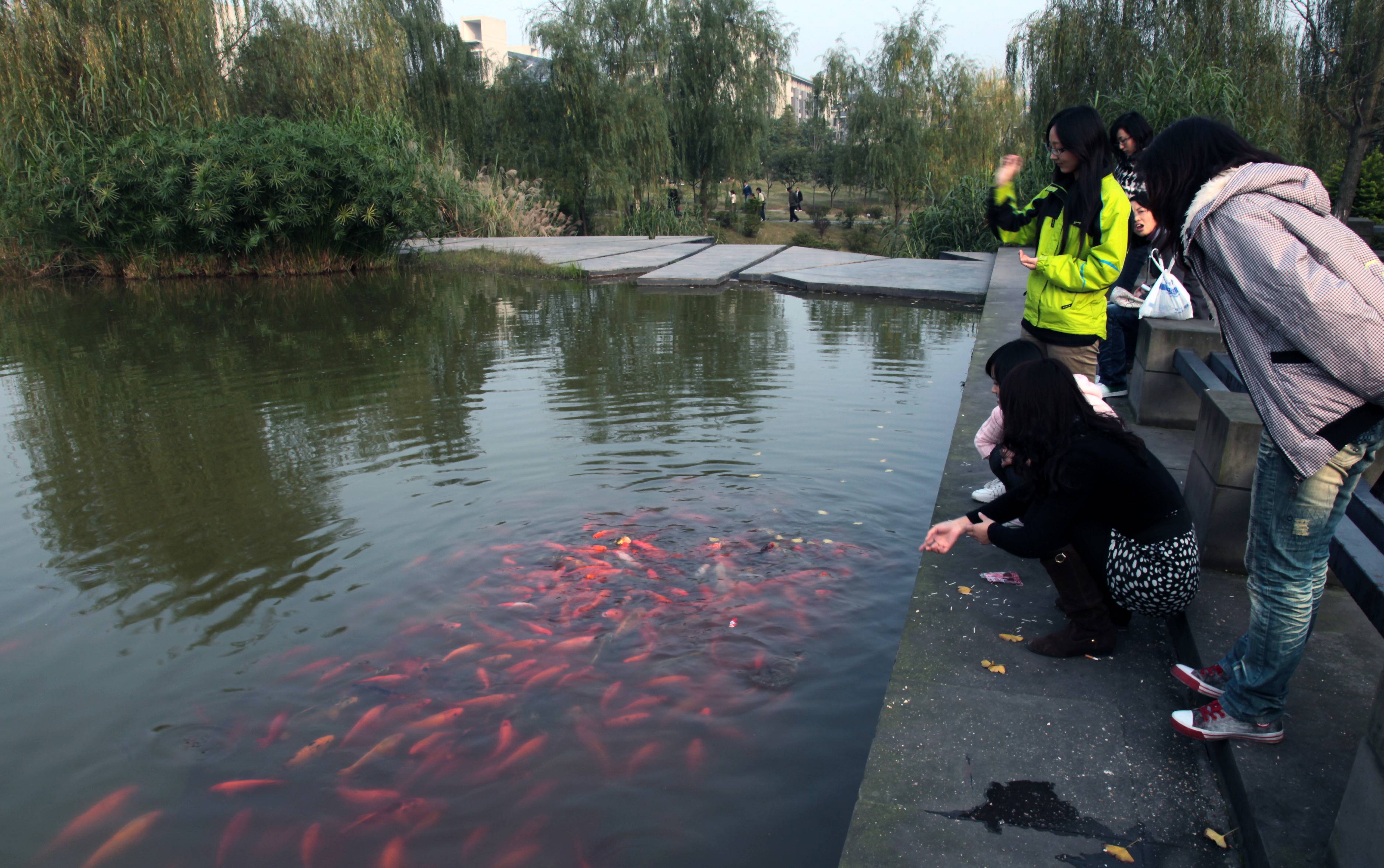 重庆理工大学是几本大学呀,重庆理工大学研究生是几本