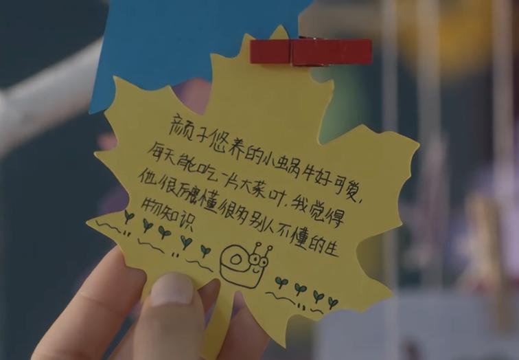 小舍得养蜗牛,小舍得治愈片段