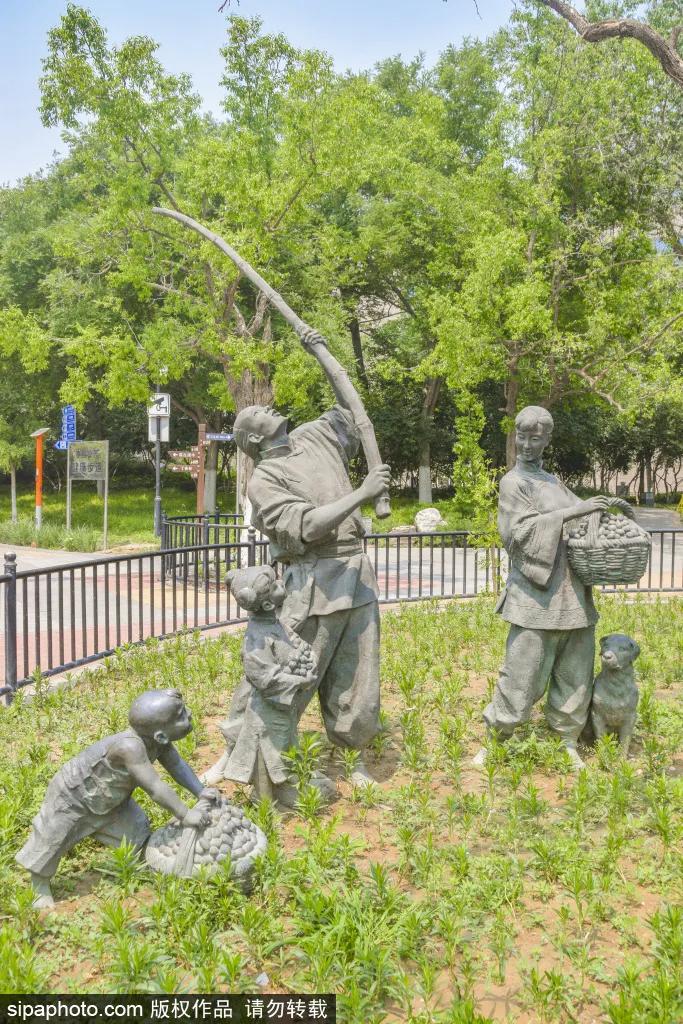 紫色花海免费版,紫色花海免费