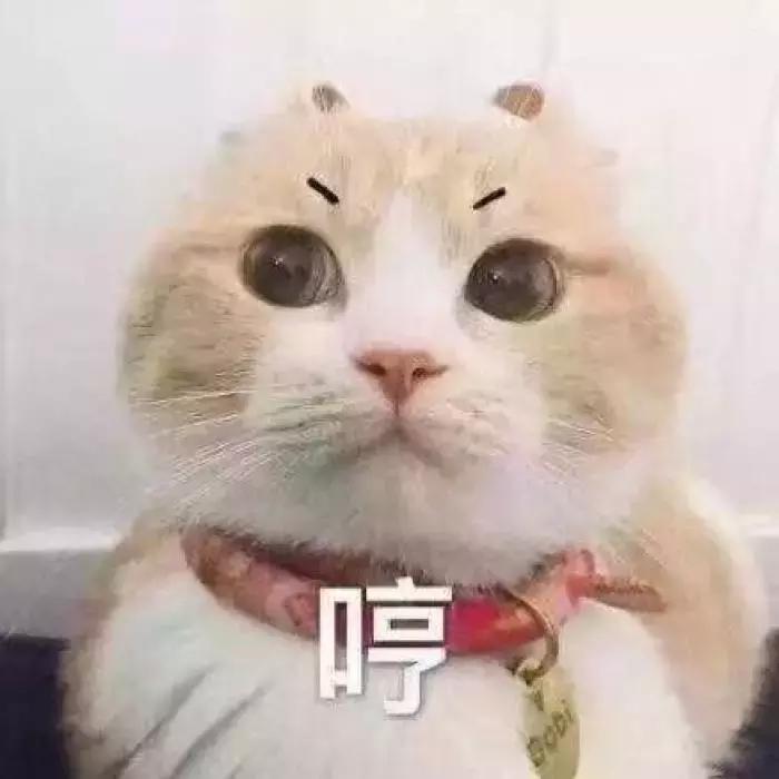 拼夕夕妈咪包推荐帆布,便宜的妈咪包值得推荐