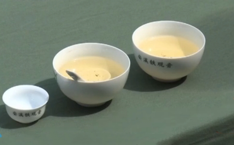 铁观音茶王赛的来历,安溪铁观音双世遗杯茶王赛