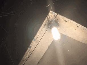 下雨天很多飞蚁是什么蚁,雨后飞蚁怎么来的