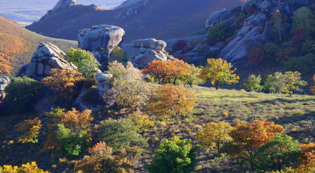 联合国地质公园,全球首批世界地质公园有几家