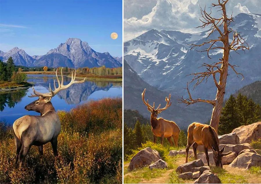 圣诞麋鹿拉车儿童画,以麋鹿为主题的儿童画