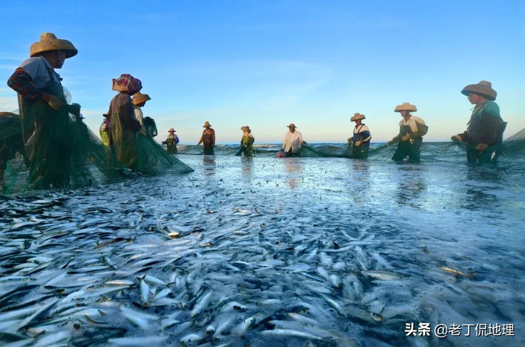 中国海鲜地图,中国海鲜最多地区