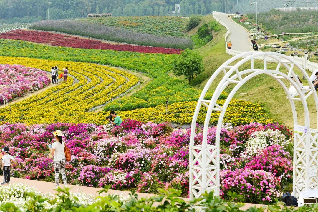 看，这10个项目告诉你公园城市的乡村表达